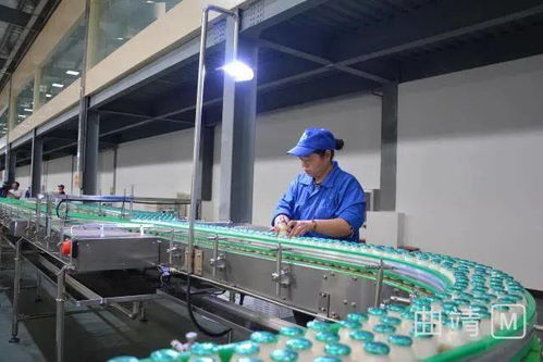 陆良这家投资2.8亿的厂,已经进入试生产阶段