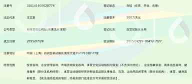 乐图投资管理咨询（上海） 企业概述与服务领域